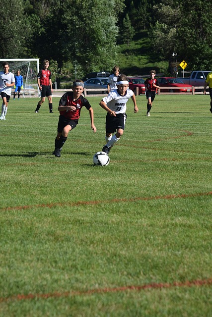 他的穩定防 他的穩定防