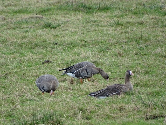 对标此前的 对标此前的