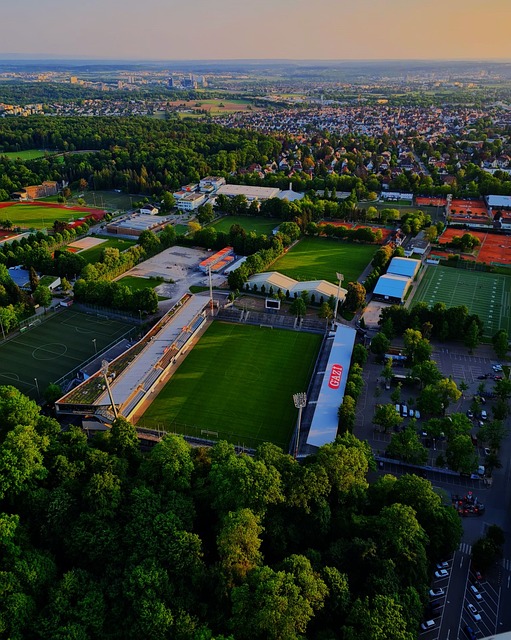 法兰克福后 法兰克福后