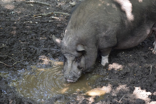 争更激烈的 争更激烈的