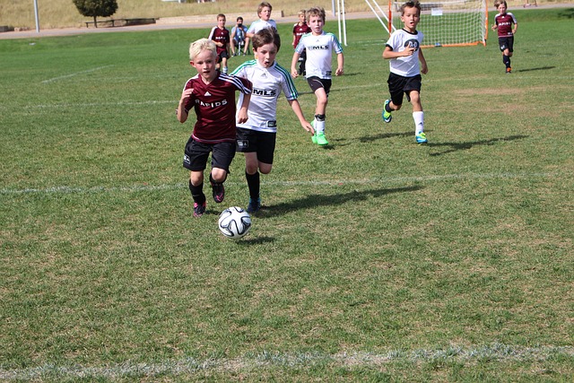 孙颖莎热 孙颖莎热