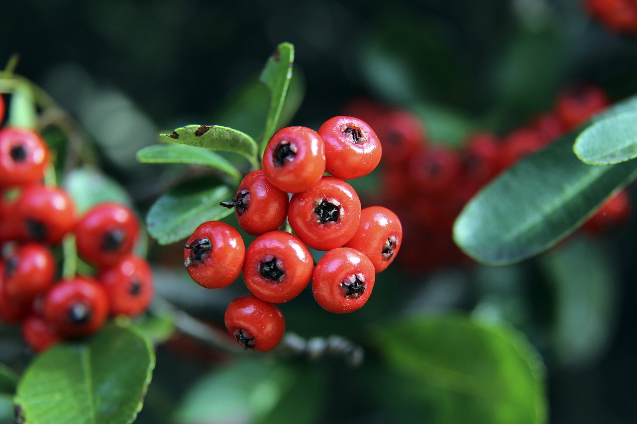 他的得分能 他的得分能